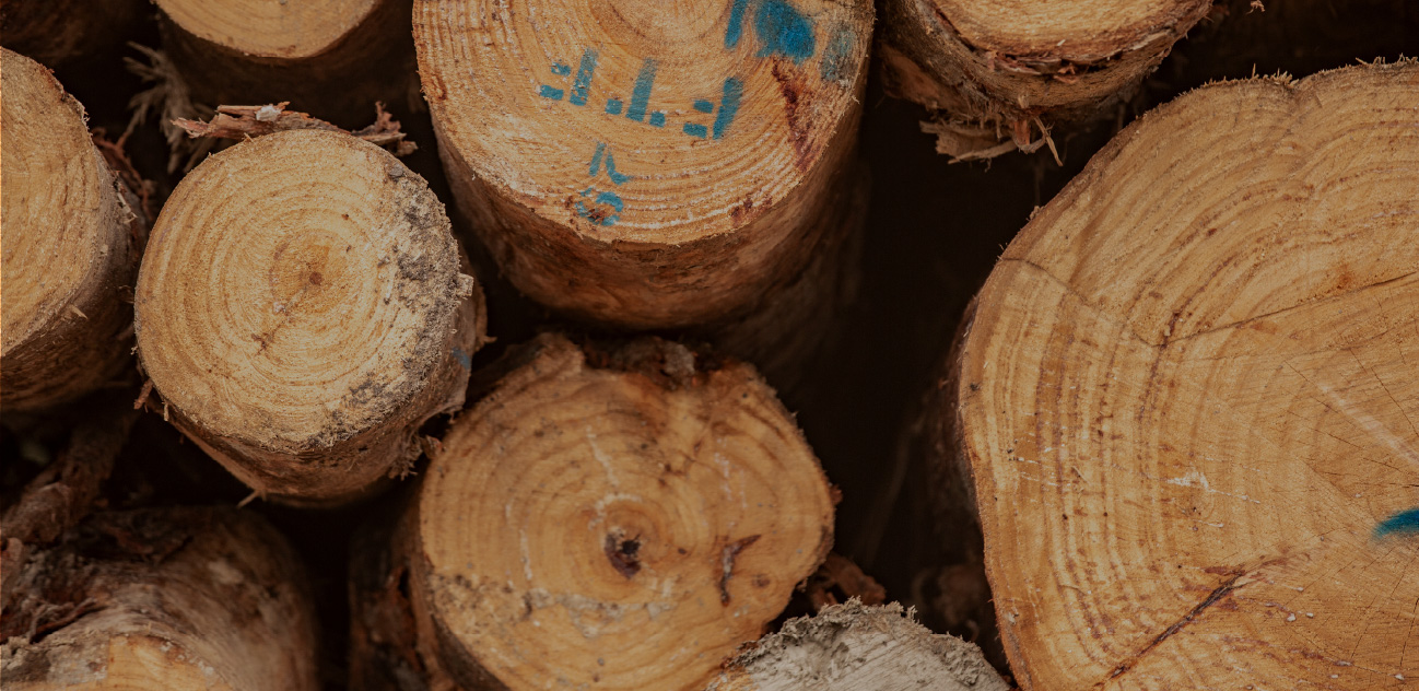 Wholesale Firewood Supplies seasoned firewood drying naturally over 12 to 24 months