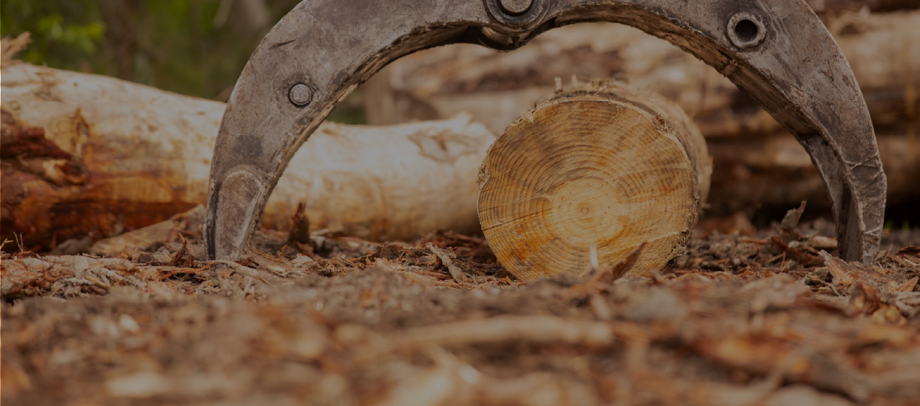 Wholesale Firewood supplies delivers premium seasoned firewood to Wellington, Wairarapa and Kapiti Coast homes all year round