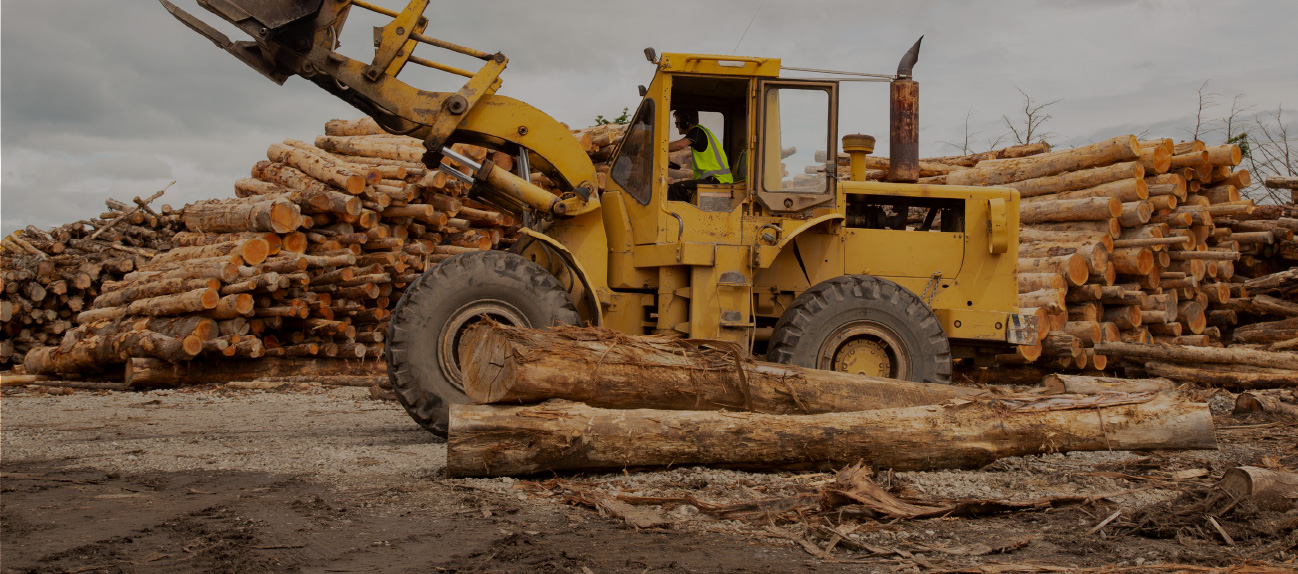 Loader processing seasoned sustainably sourced firewood for Upper Hutt delivery