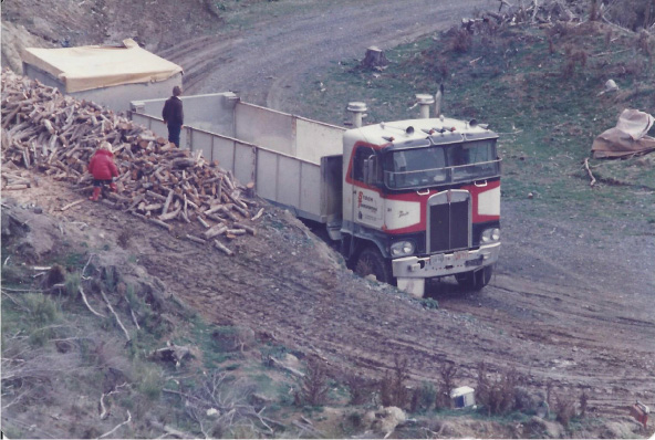 Humble beginnings of Wholesale Firewood Supplies